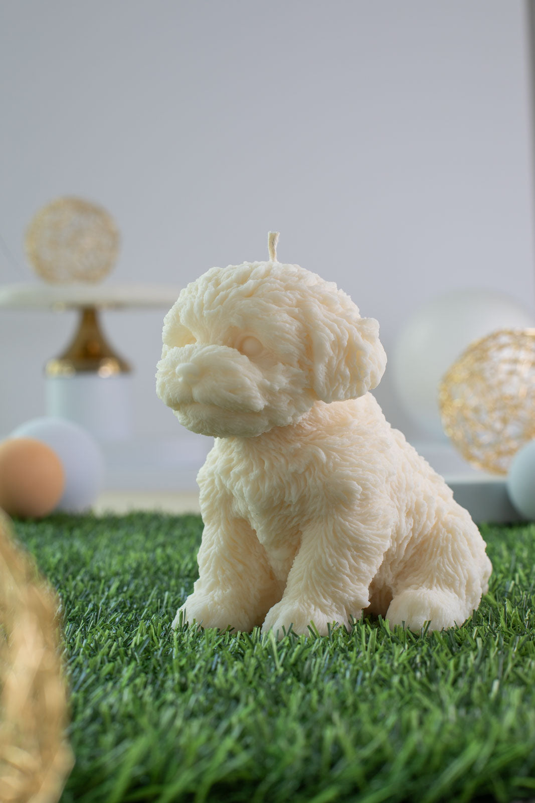 Labradoodle Mikie
