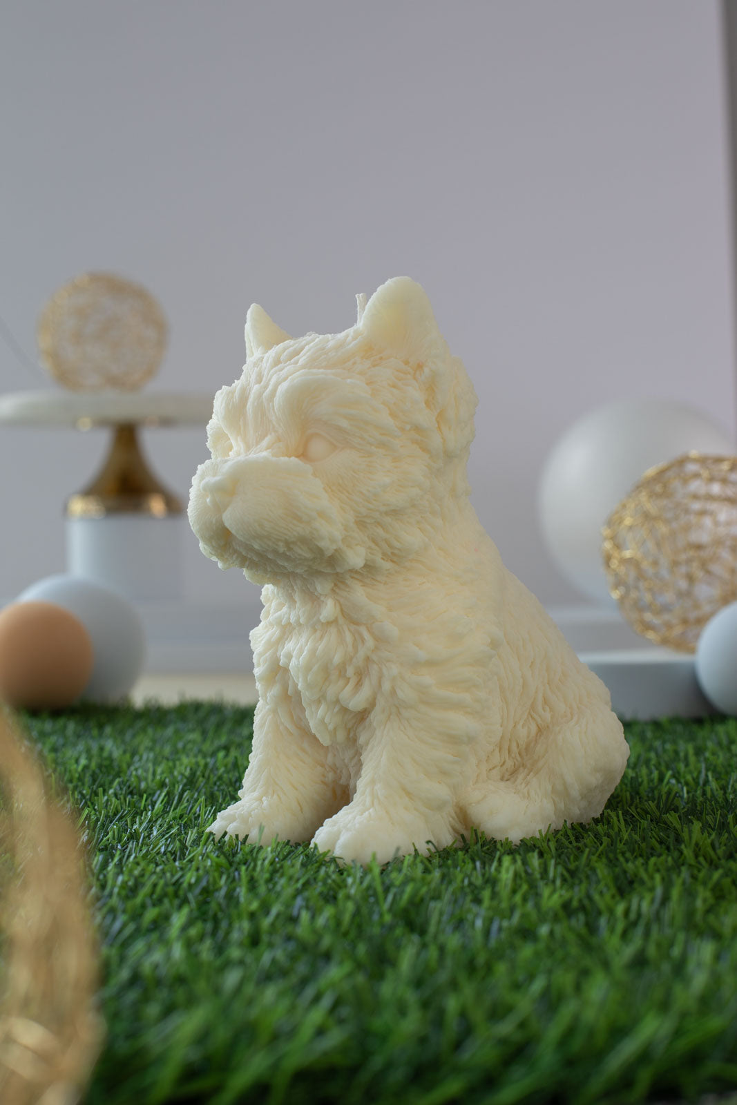Yorkshire Terrier Dimitry