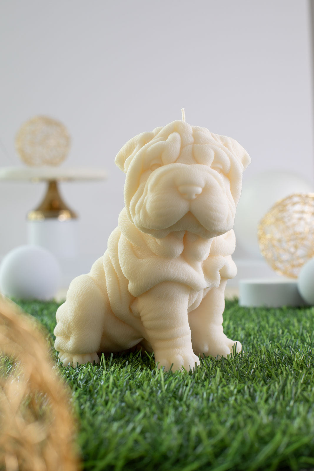 Shar Pei George