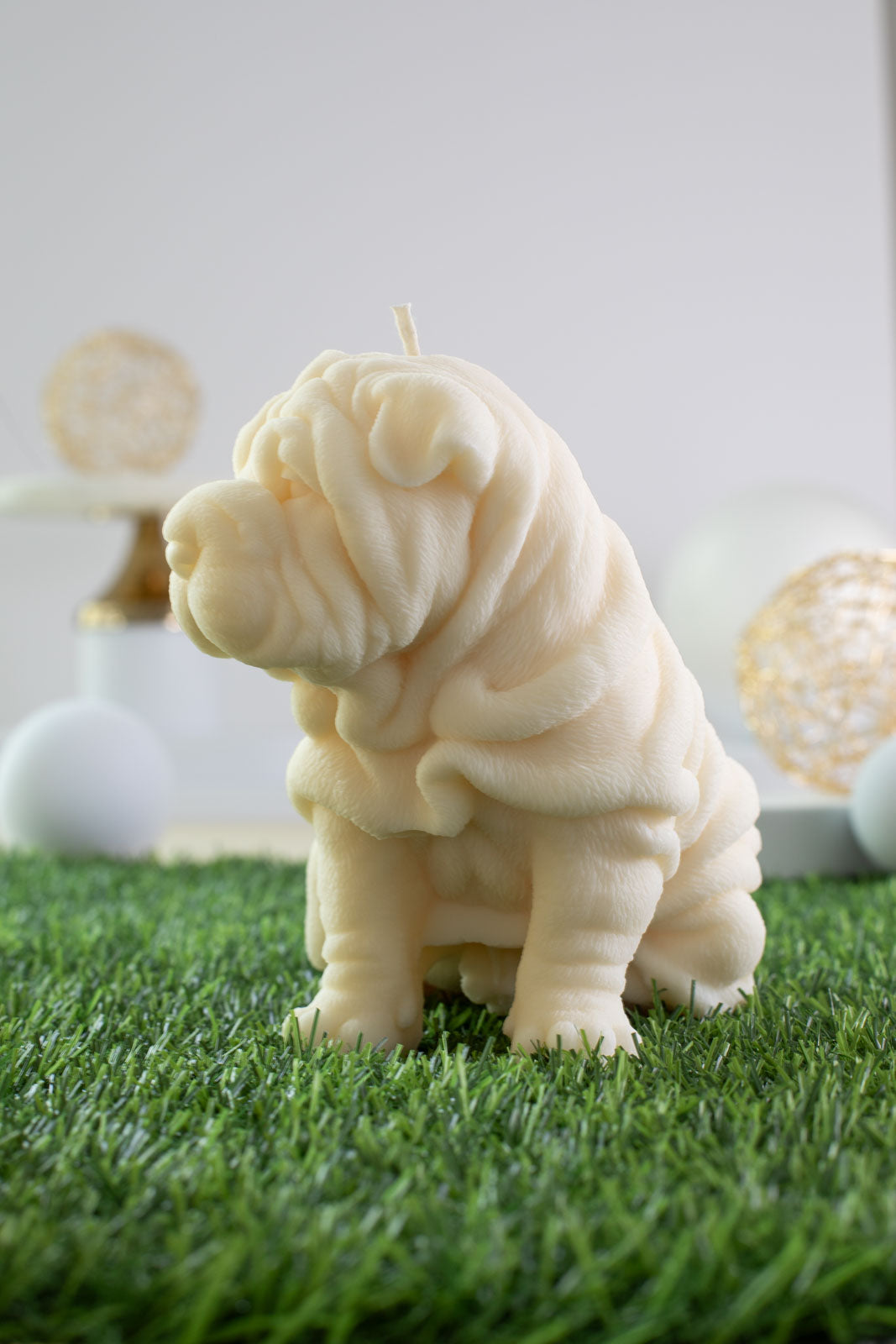 Shar Pei George