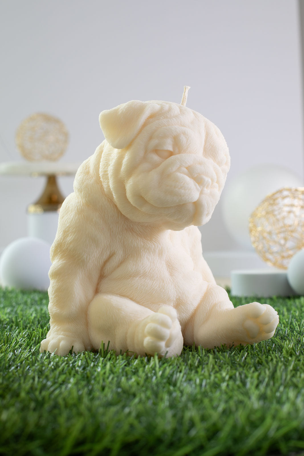 Bulldog Peeta