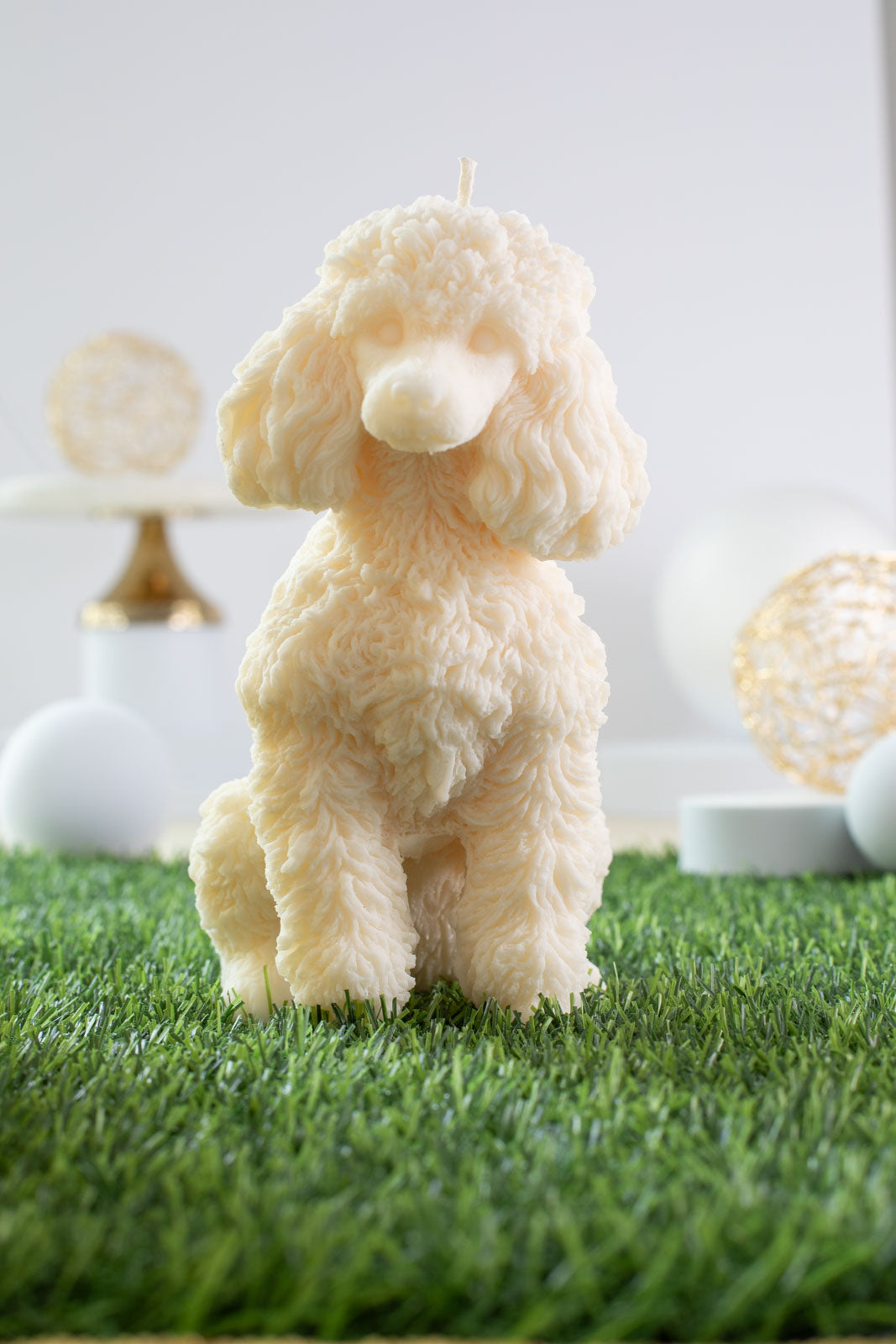 Poodle Elisabeth