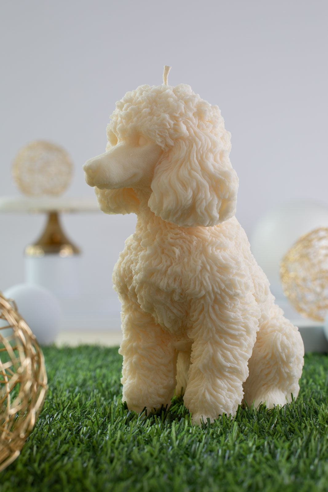 Poodle Elisabeth