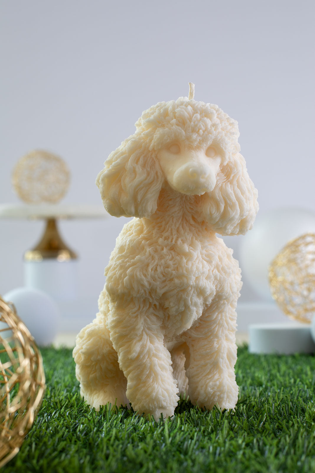 Poodle Elisabeth