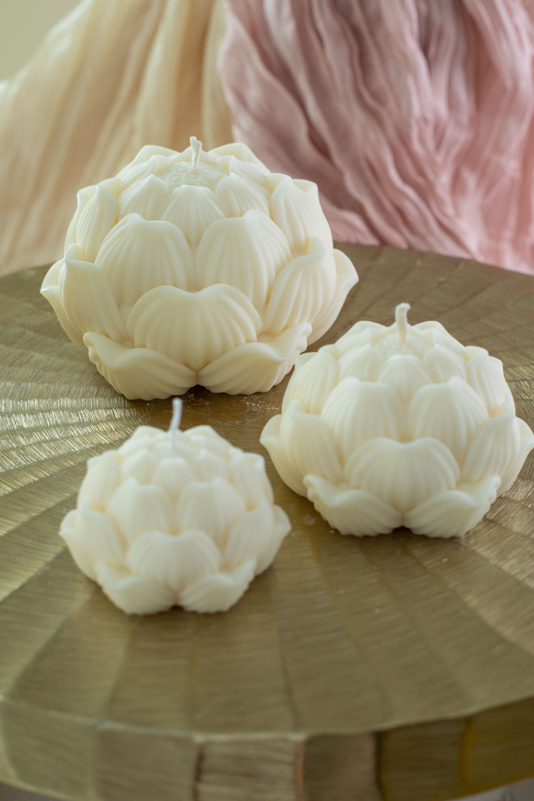 Loturelle
