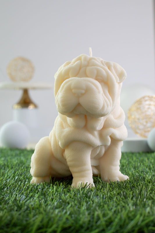 Shar Pei George