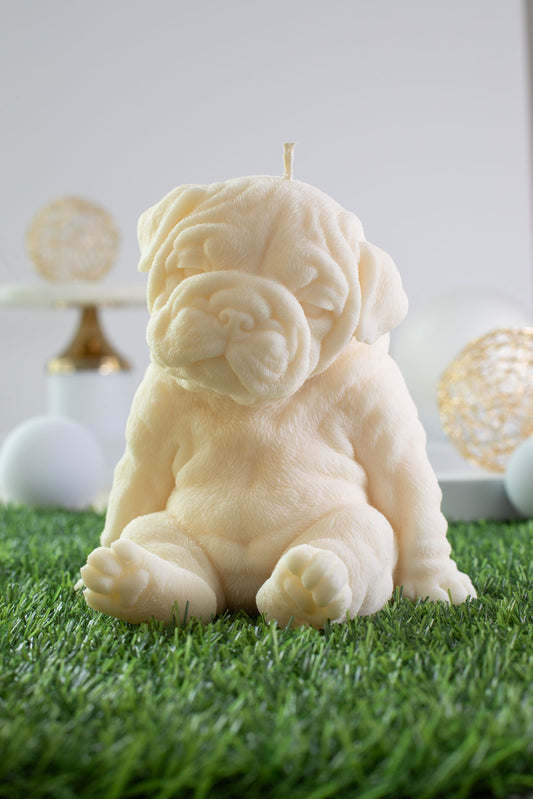 Bulldog Peeta