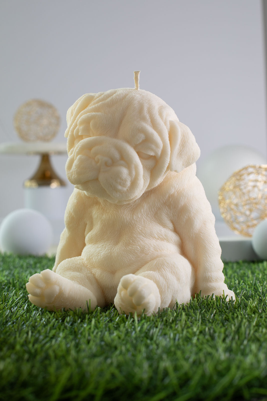 Bulldog Peeta