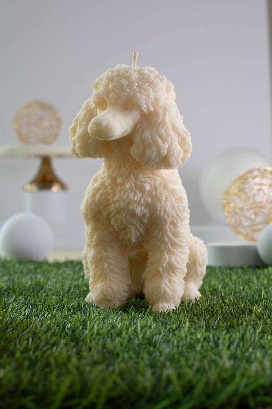 Poodle Elisabeth
