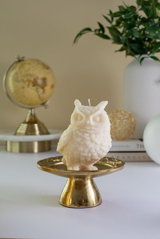 Owl Victoria